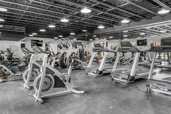 A gym with treadmills and elliptical machines.