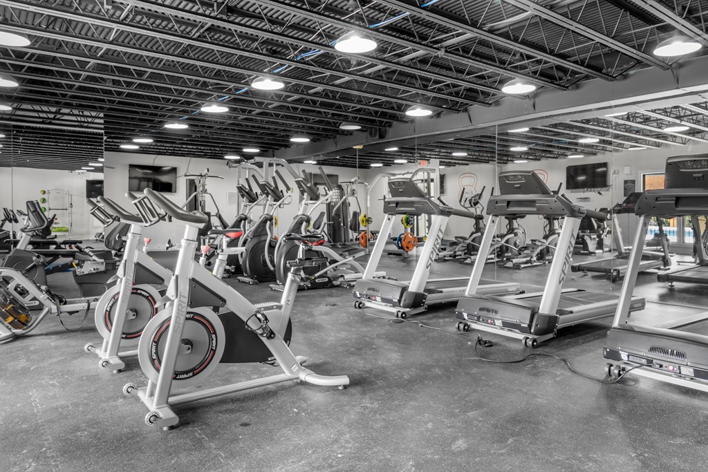 A gym with treadmills and elliptical machines.