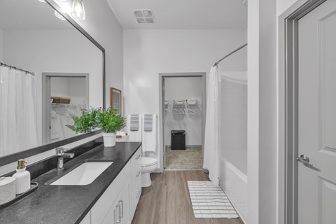 A bathroom with a sink, mirror, and toilet.