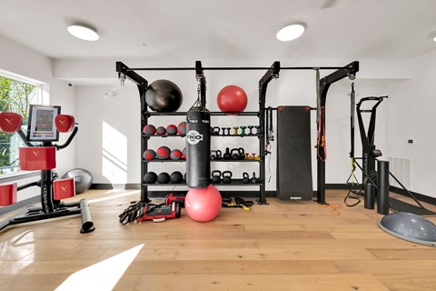 A gym with a variety of equipment including a weight rack, a treadmill, and a punching bag.