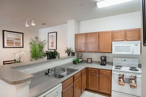 a kitchen with a sink and a stove