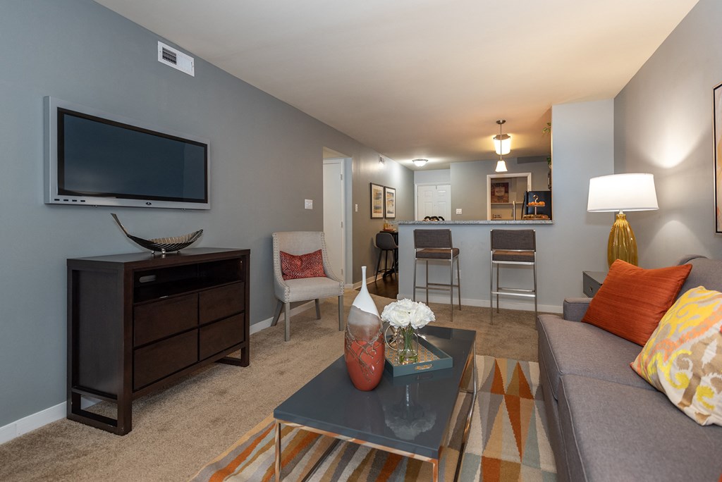 a living room with a couch and a coffee table and a television