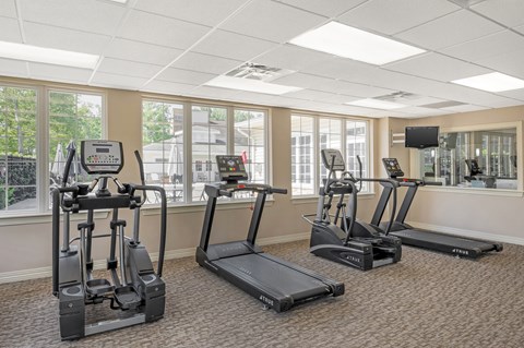 Fitness center with cardio machines and natural light at The at Elmwood Terrace Apartments, Maryland
