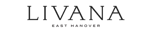 the logo for the east hanover east hamburger restaurant
