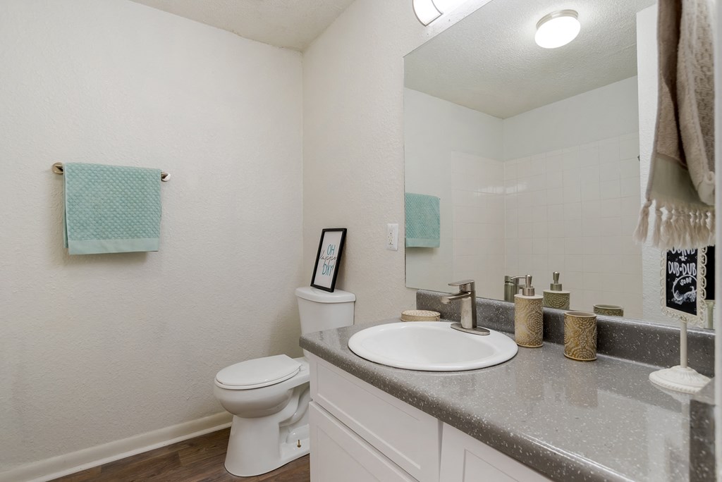 Bathroom at Lakeshore Landing Apartments, Ridgeland, MS
