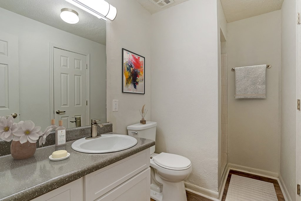 Luxurious Bathrooms at Lakeshore Landing Apartments, Mississippi