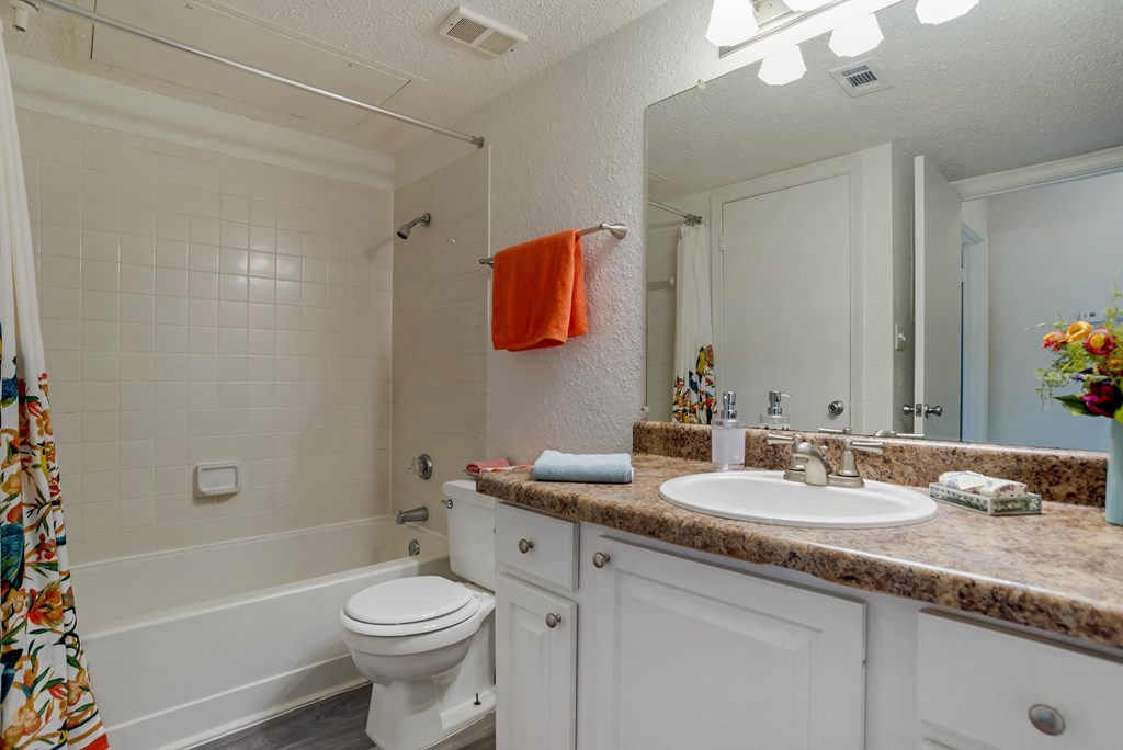 Luxurious Bathroom at Reflection Pointe, Flowood, MS