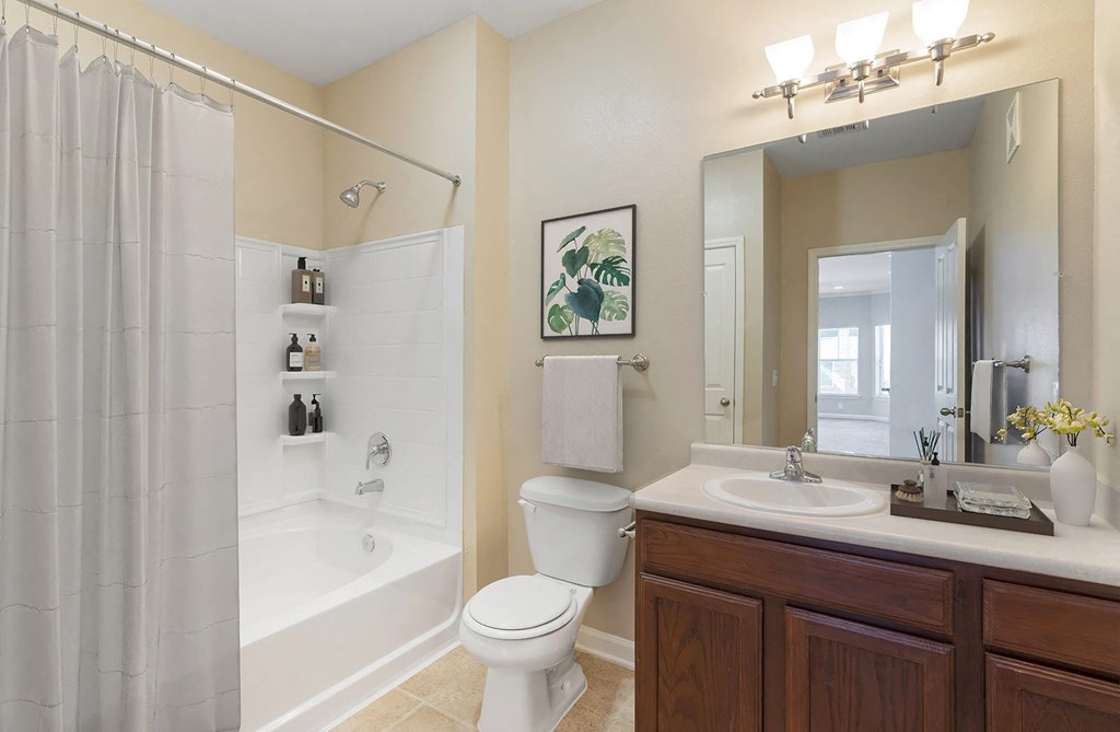 Reflections of Island Park Bathroom