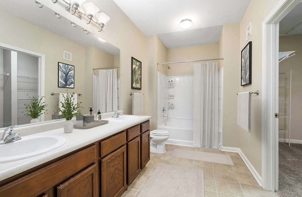 Reflections of Island Park Bathroom