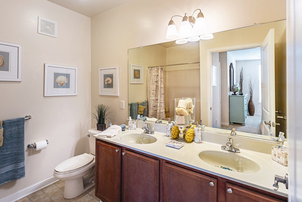 Bathroom vanity at River House Apartments, Norfolk, 23504