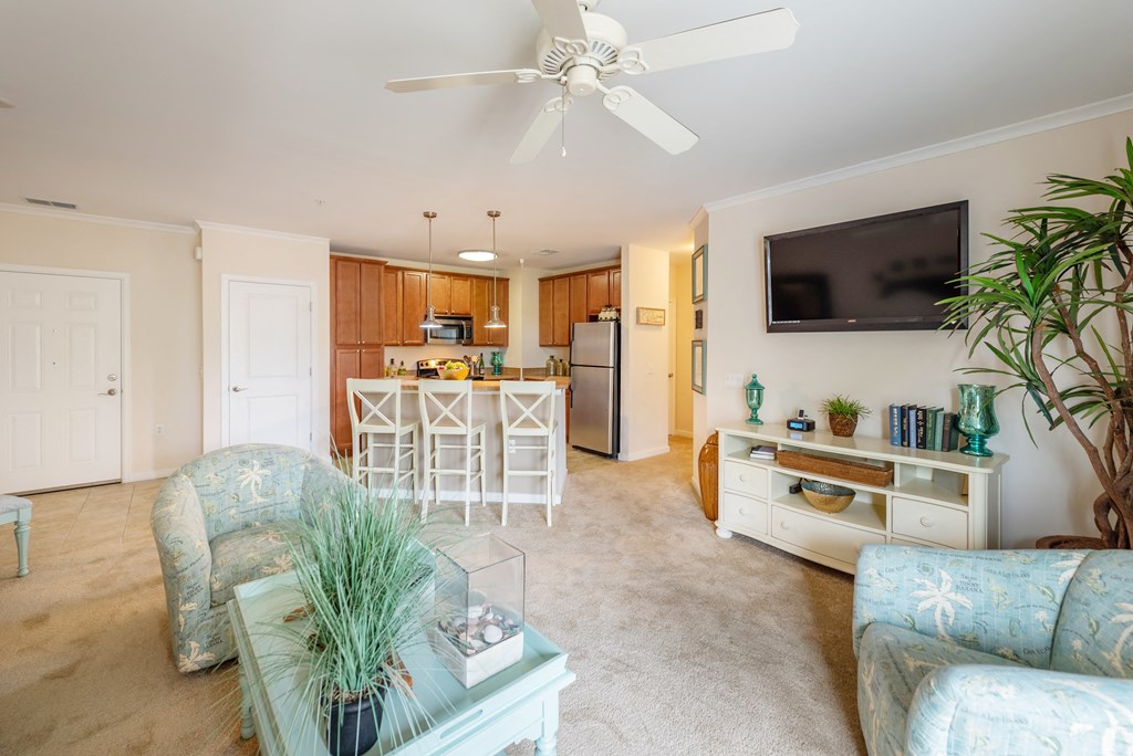 River House Living Area 2 at River House Apartments, Norfolk, Virginia