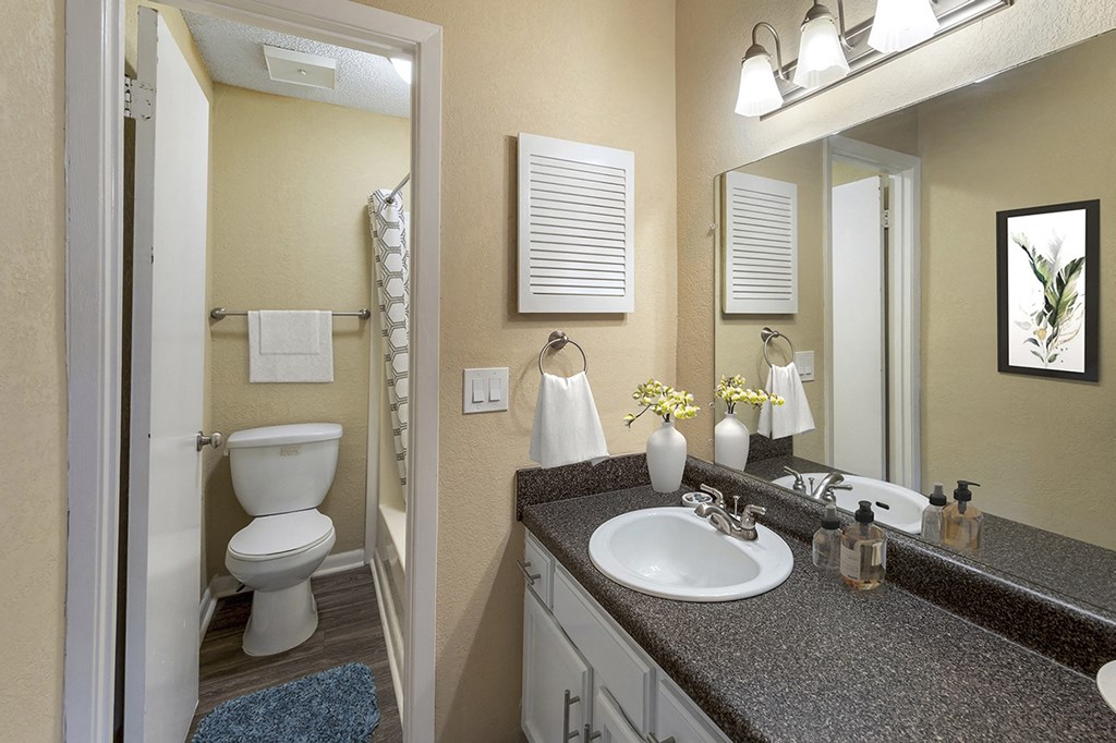 Riverchase Landing Bathroom