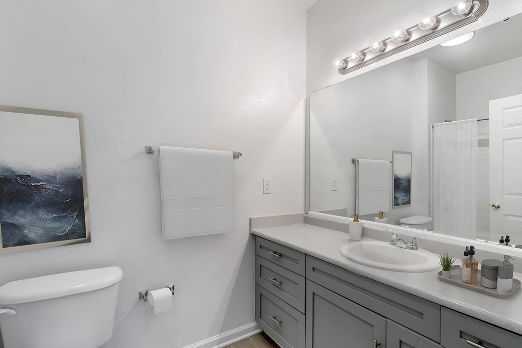 Luxurious Bathroom at Spotswood Commons, Williamsburg Virginia  