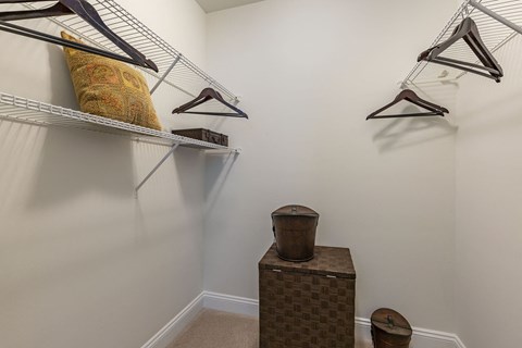 Walk-In Closets With Built-In Shelving at The Apartments at The Sycamores, Virginia