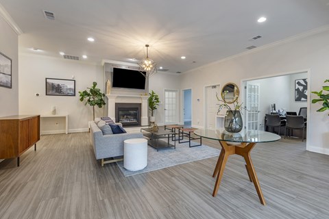 Large Clubhouse With Ample Sitting And Television at The Apartments at The Sycamores, Virginia, 20190