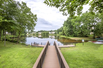 Lake - Photo Gallery 3