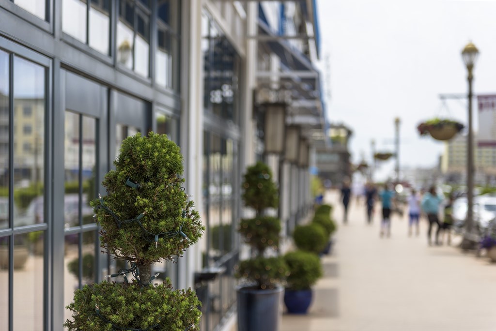 A row of potted plants line a sidewalk.