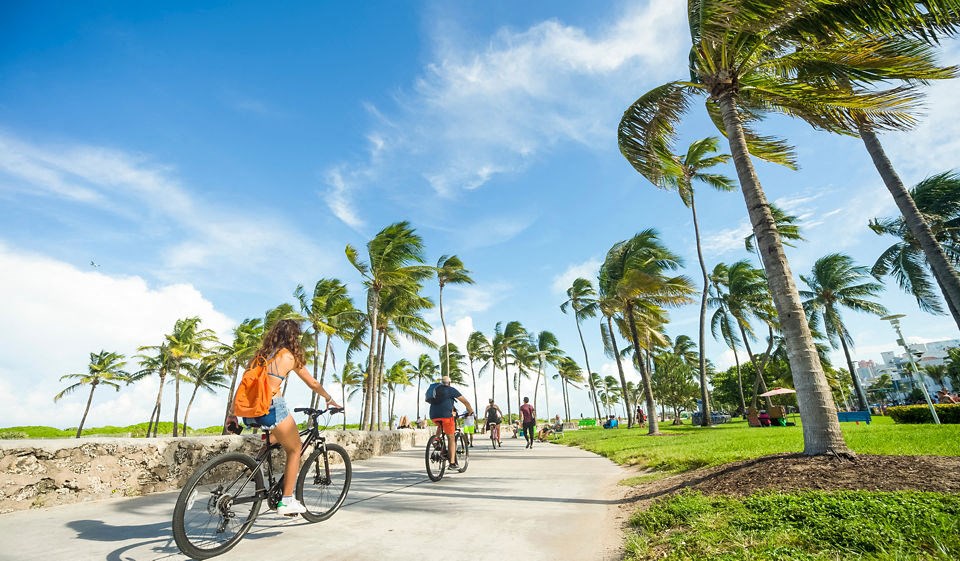 a group of people riding bikes down the beach with palm trees at The Hamilton, Miami, Florida