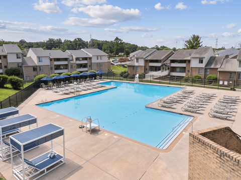 A swimming pool surrounded by sun loungers and apartment buildings.