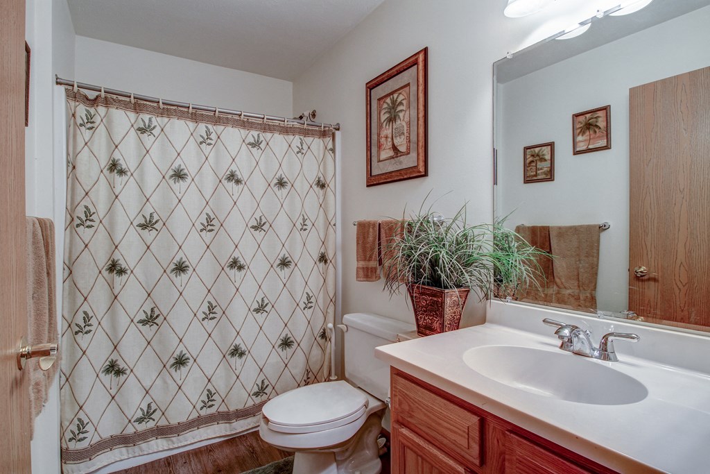 a bathroom with a sink and a toilet and a shower