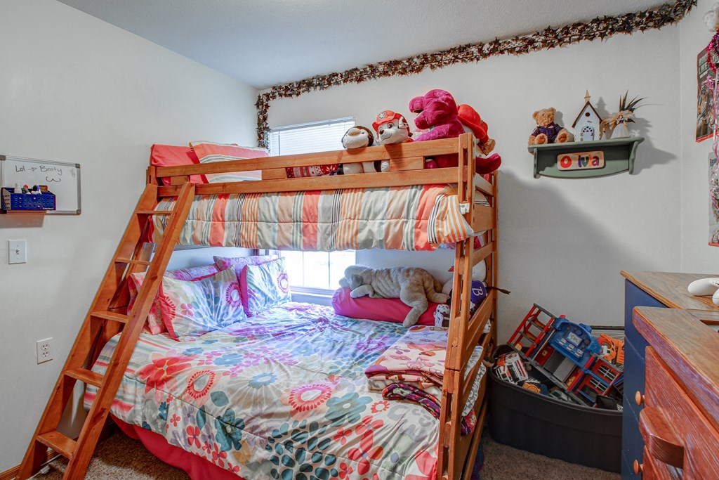 a bunk bed with a cat sleeping on the bottom bunk