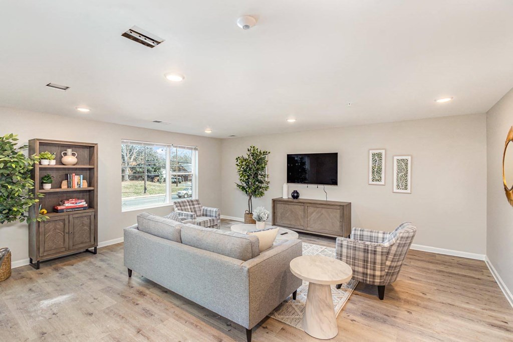 A living room with a grey couch, a chair, a TV, and a plant.