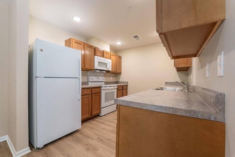 a kitchen with a refrigerator and a sink