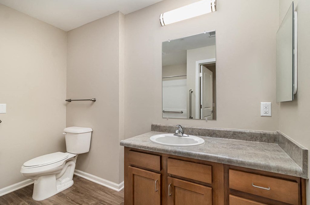 a bathroom with a sink and a toilet and a mirror