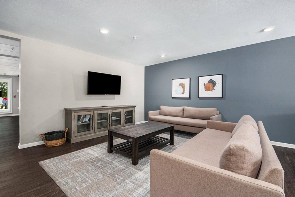 a living room with couches and a tv