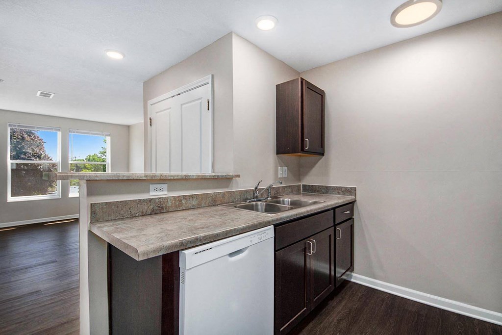 a kitchen with a sink and a dishwasher and a window