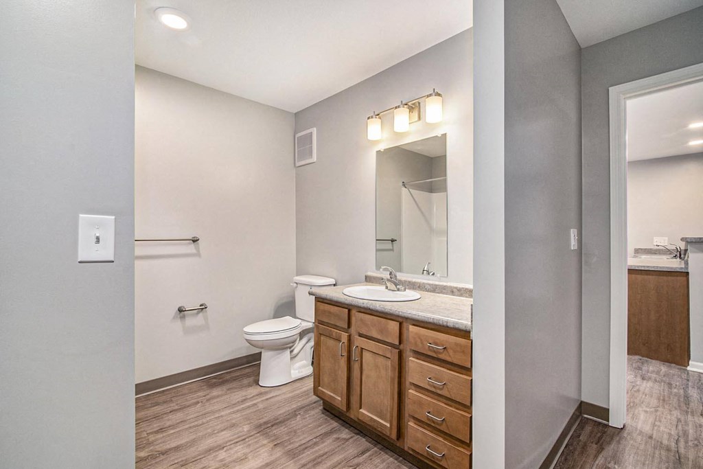 a bathroom with a toilet and a sink and a mirror