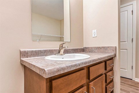 a bathroom with a sink and a mirror