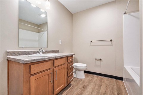 A bathroom with a sink, toilet, and a mirror.