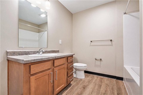 A bathroom with a sink, toilet, and a mirror.