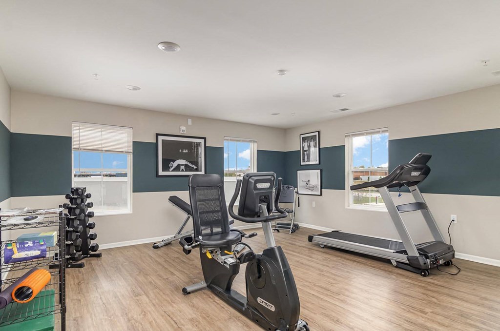 the gym in the owners home is equipped with cardio equipment and weights