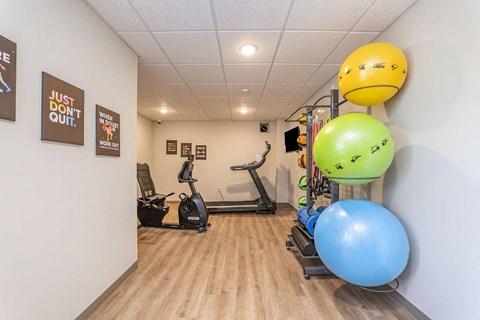 the gym in our apartments is equipped with cardio equipment and exercise balls