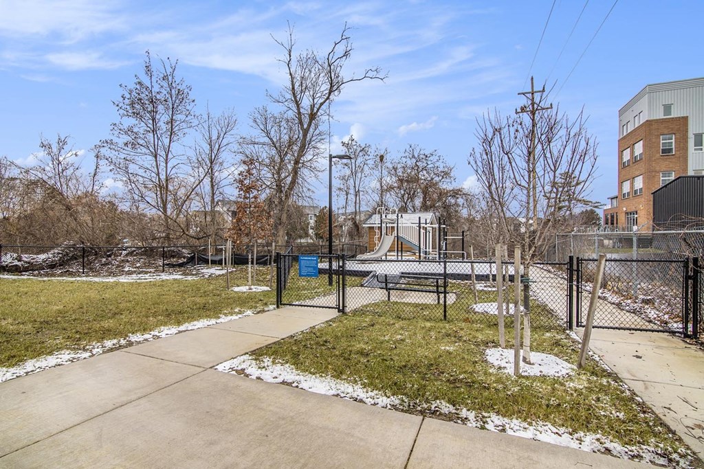 the preserve at ballantyne commons dog park