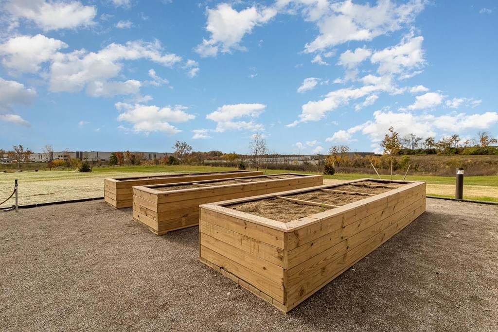 a row of raised garden beds in a field