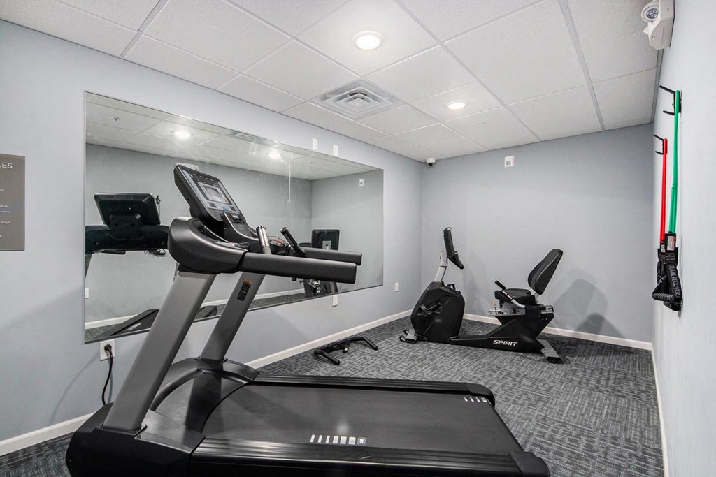 the gym is equipped with state of the art equipment including cardio equipment and a treadmill