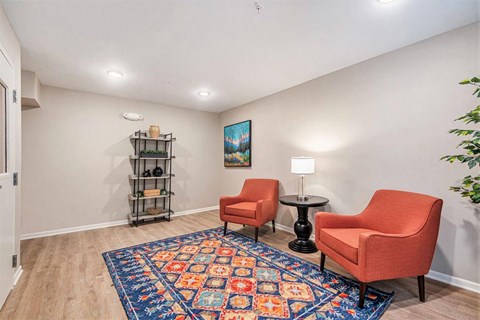 A room with a rug and two chairs.