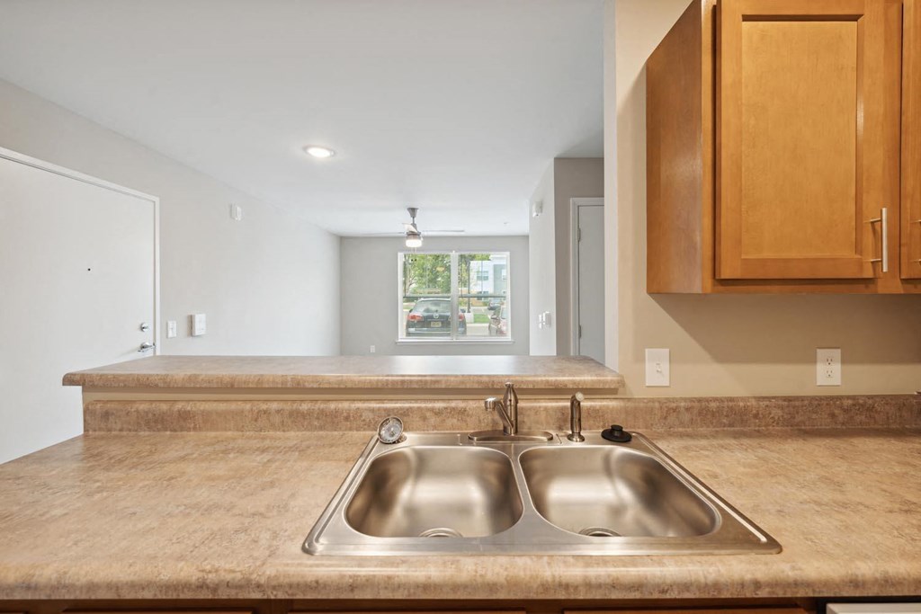 a kitchen sink with a window in the background
