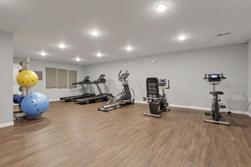 the gym is equipped with cardio equipment and weights