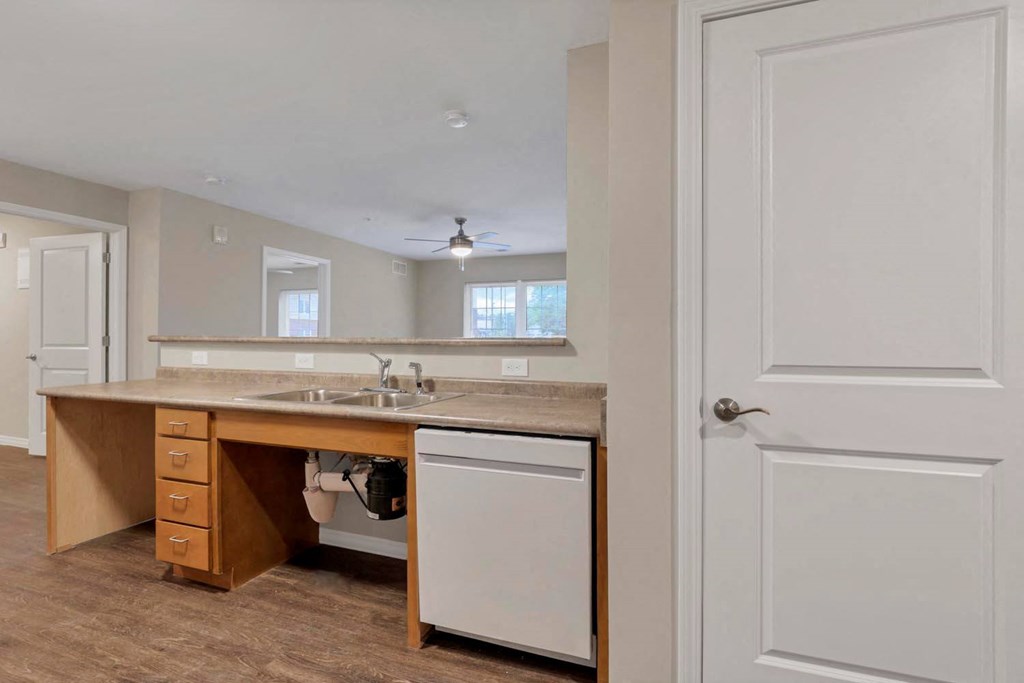 a kitchen with a sink and a counter top