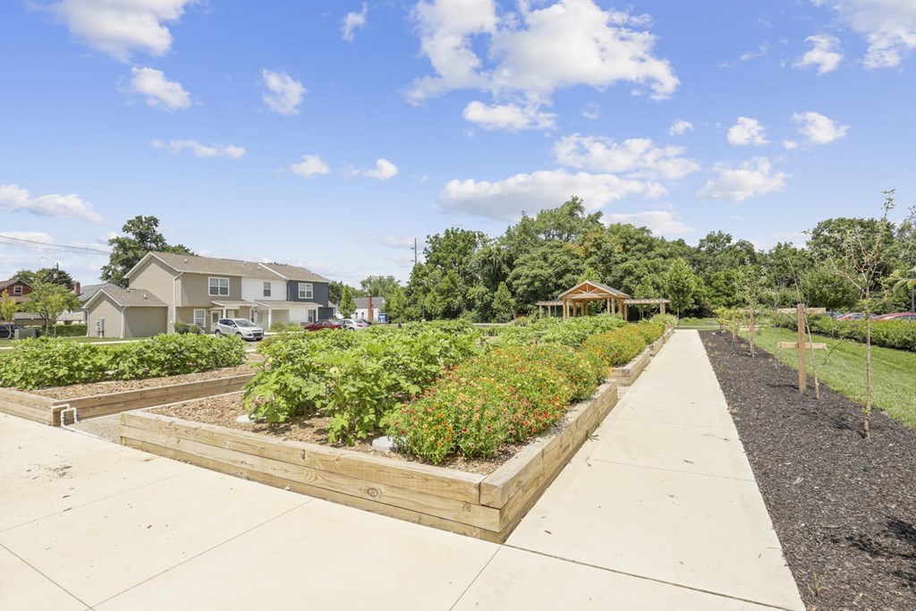 a community garden with plants and a sidewalk