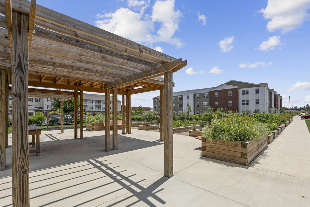 a view of a park with benches and a wooden structure