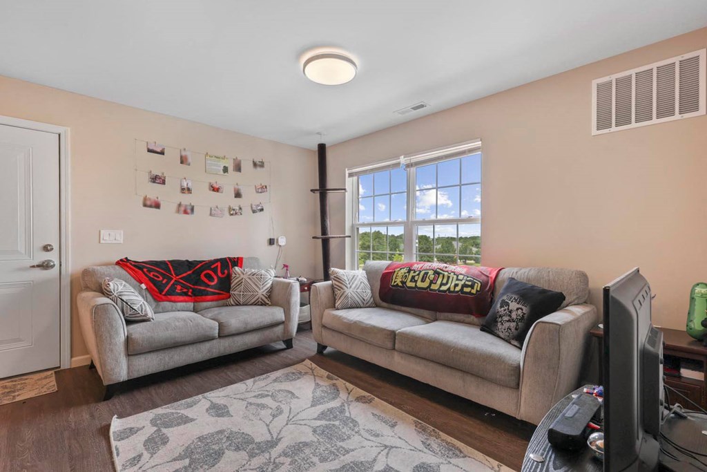 a living room with two couches and a tv