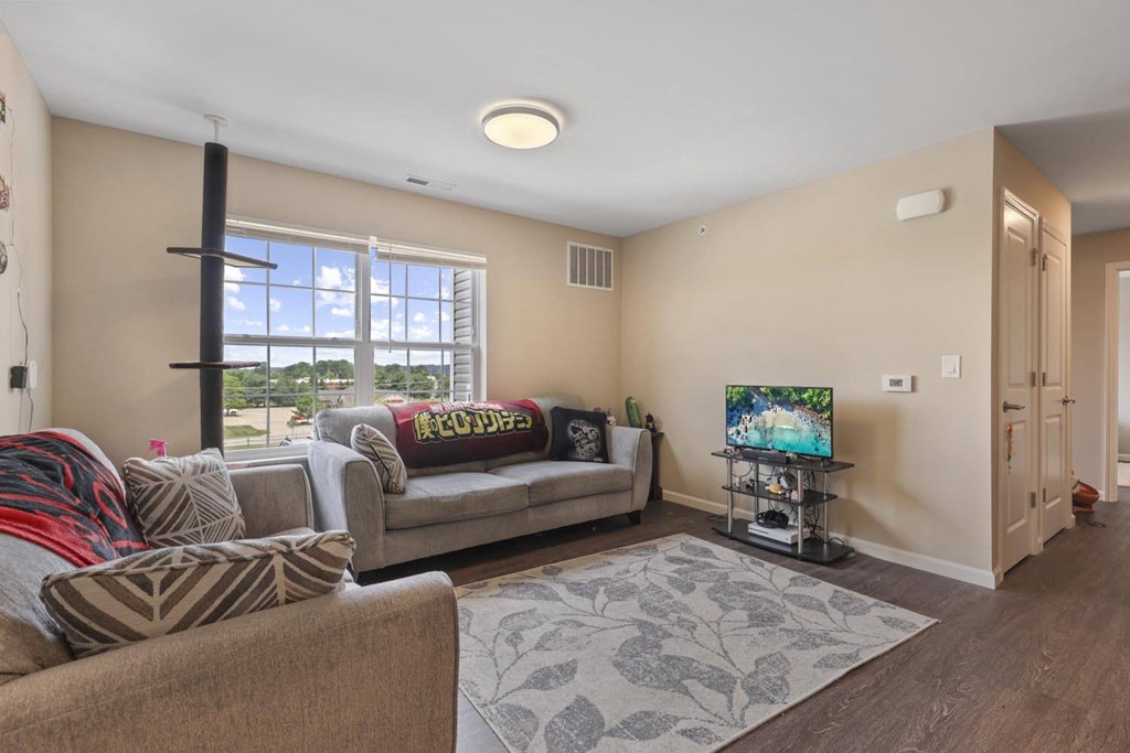 a living room with two couches and a tv