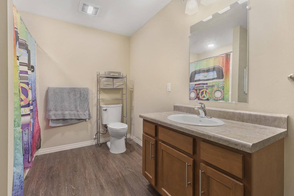 a bathroom with a sink and a toilet and a mirror