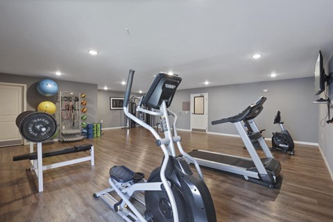 the gym in the owners home is equipped with treadmills and other exercise equipment
