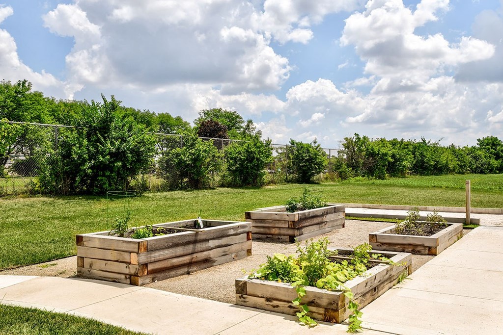 A garden with raised beds and plants in the foreground.